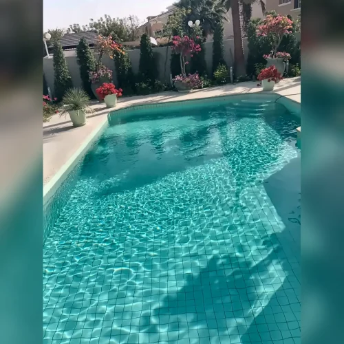 professional-swimming-pool-cleaning-service